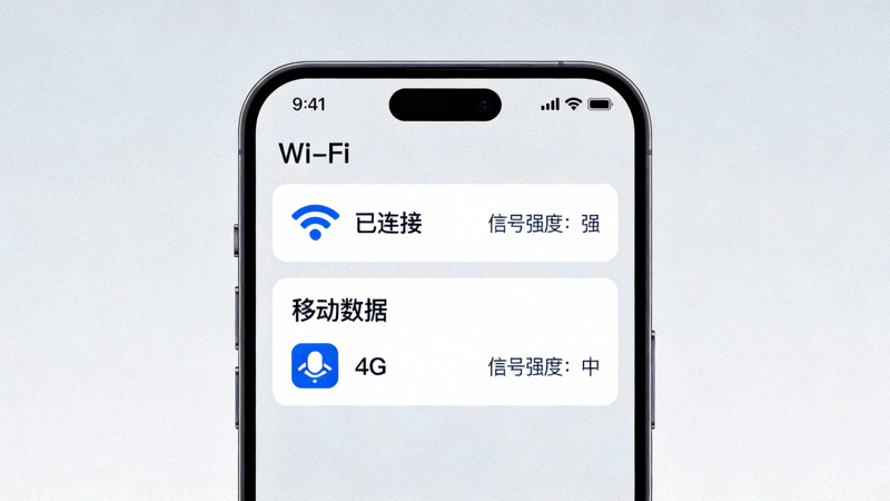示意图：在手机设置中检查Wi-Fi和移动数据网络连接状态的界面